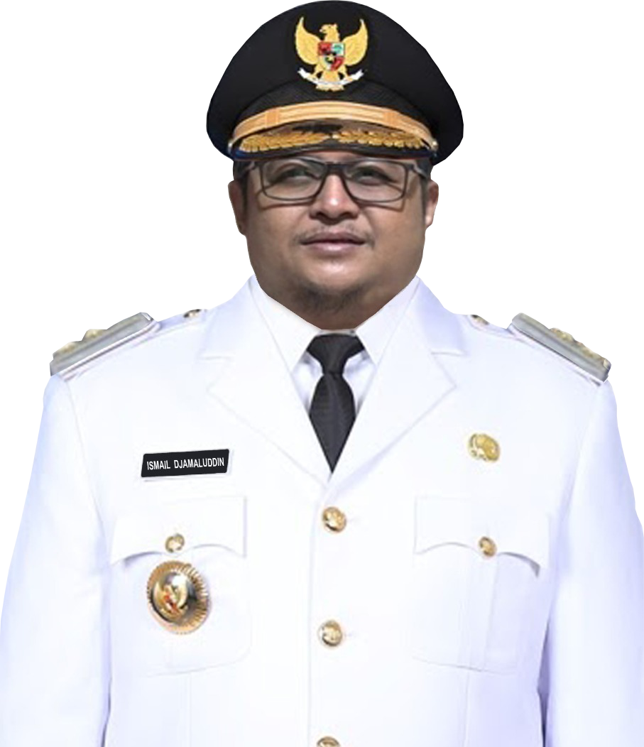 02 WAKIL BUPATI NABIRE png